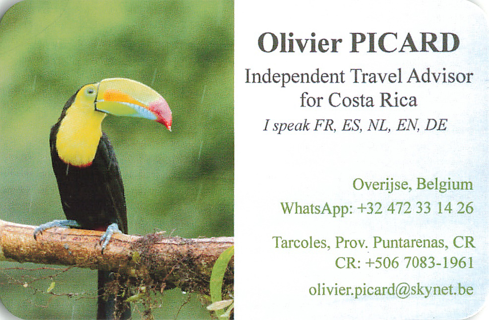Carte de Visite Olivier